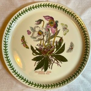Portmeirion Botanic Garden Helleborus Dinner Plate